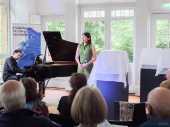 Heidelberger Frühling image